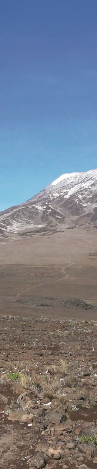 Trekken stets mit dem Ziel vor Augen: der Gipfel des Kilimanjaro
